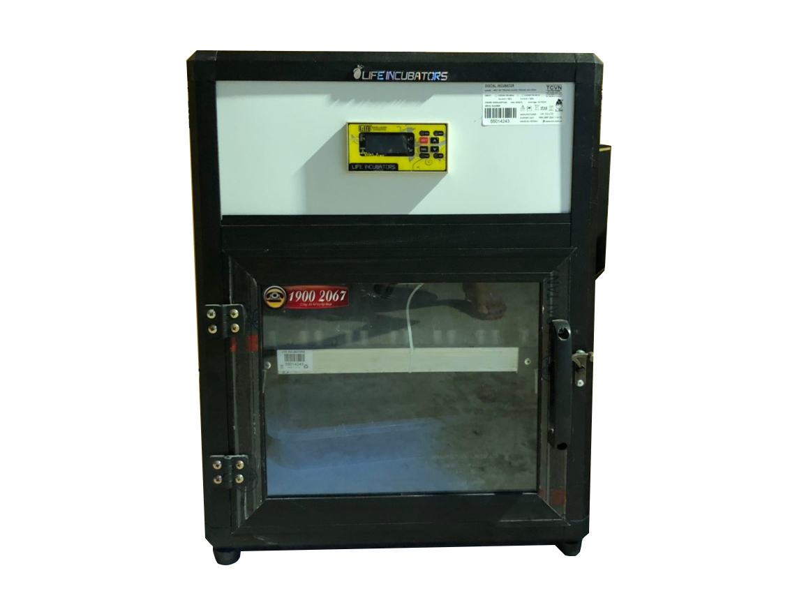 Máy ấp trứng mini (50 trứng)