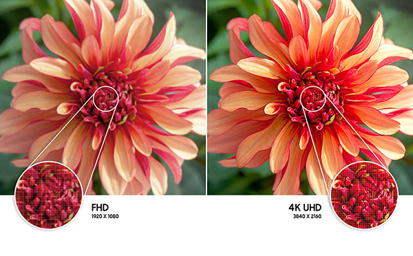 Độ phân giải UHD 4K của tivi QA55Q70AAKXXV