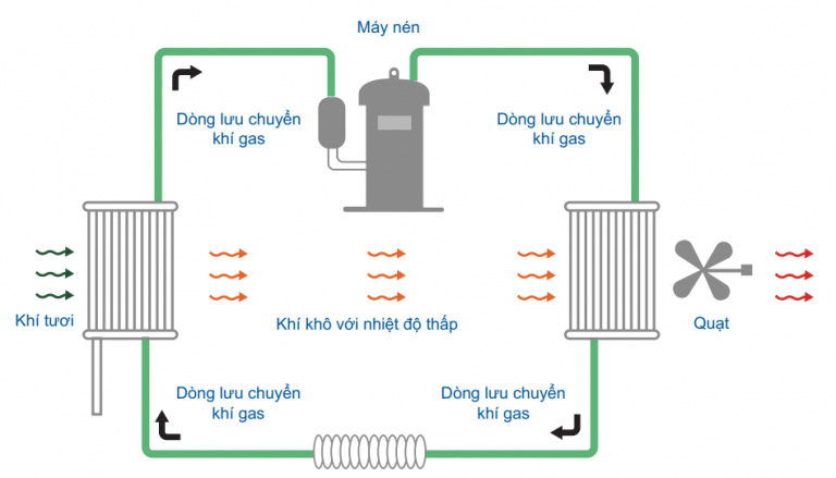 Nguyên lý hoạt động