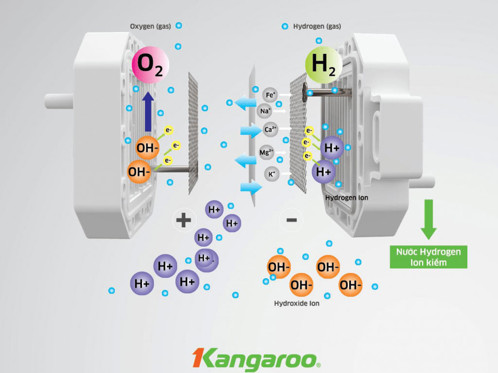 máy lọc nước Kangaroo 