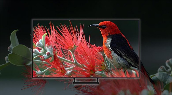 Tivi Samsung