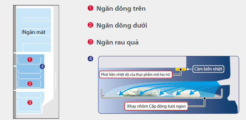 Tủ lạnh ngăn đá dưới