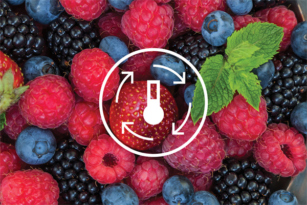 Tủ lạnh Electrolux