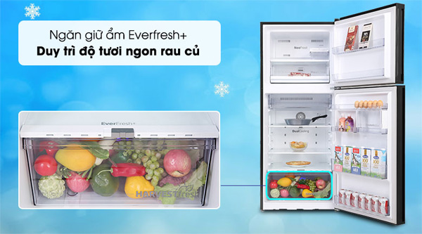 Tủ lạnh Beko 396 lít