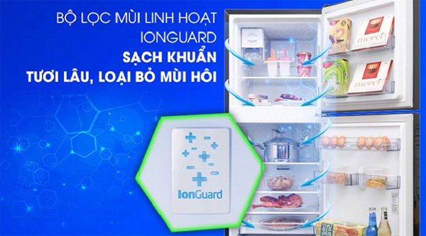 Tủ lạnh Beko 422 lít