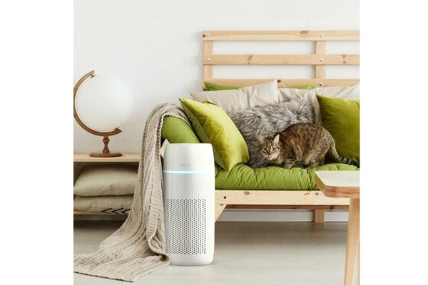 Máy lọc không khí khử mùi và lông vật nuôi 5-in-1 Homedics AP-PET35A-WT