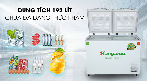 Tủ đông kháng khuẩn Kangaroo KG266NC2 (192 lít)