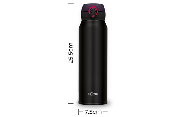 Bình giữ nhiệt Thermos JNL - 752 750ml