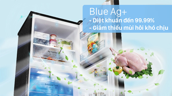 Tủ lạnh Panasonic NR-TL381GPKV sử dụng công nghệ Blue Ag+