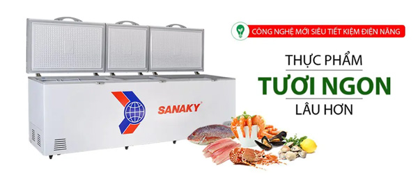 Tủ đông SANAKY VH-1168HY2