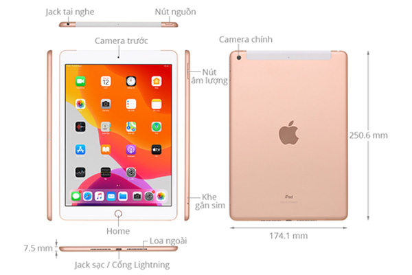 Máy tính bảng Apple iPad Wi-Fi + Cellular 32GB 10.2 - inch