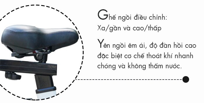 Ghế ngồi bọc da êm ái