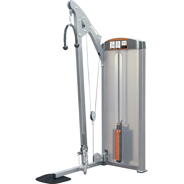 Máy tập bắp tay trước, sau Impulse IF8123