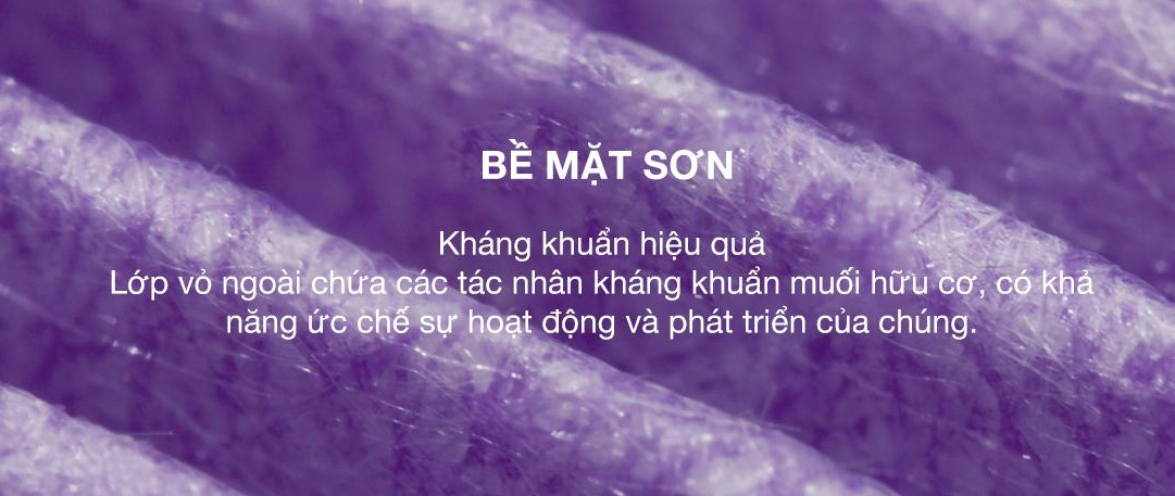 Lớp sơn kháng khuẩn