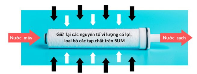 Bộ quà tặng vòi sen Daily Aqua