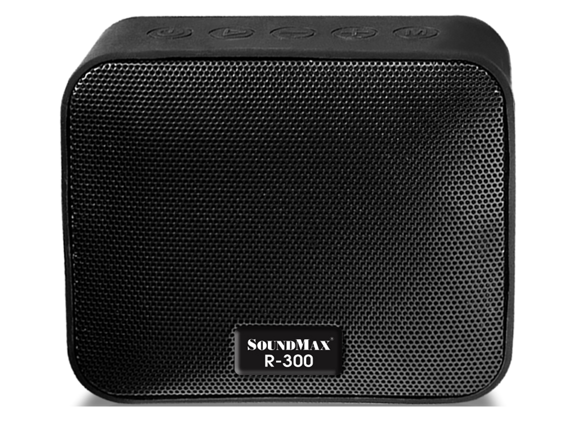 Loa di động SoundMax R-300