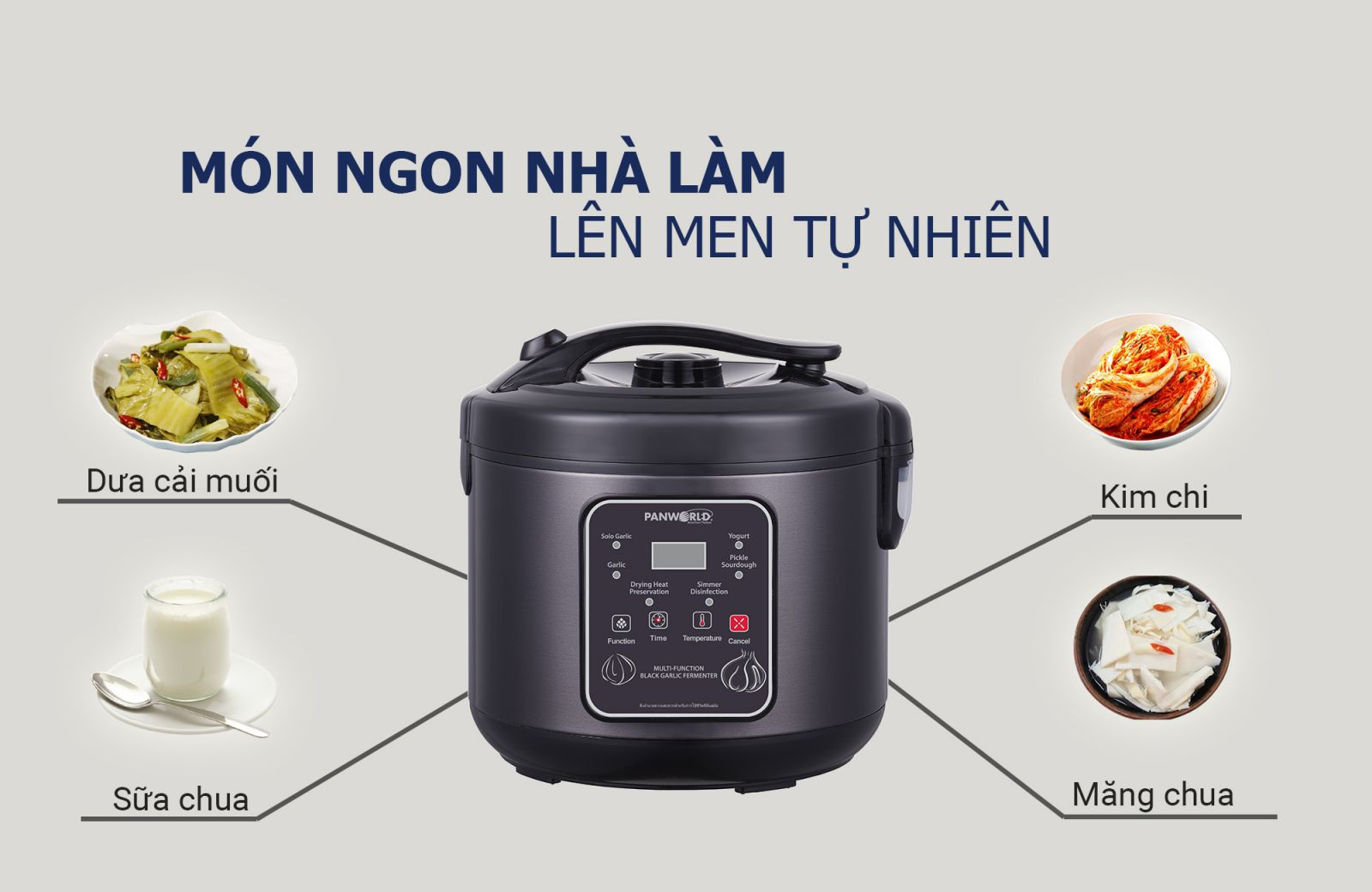 Máy làm tỏi đen  