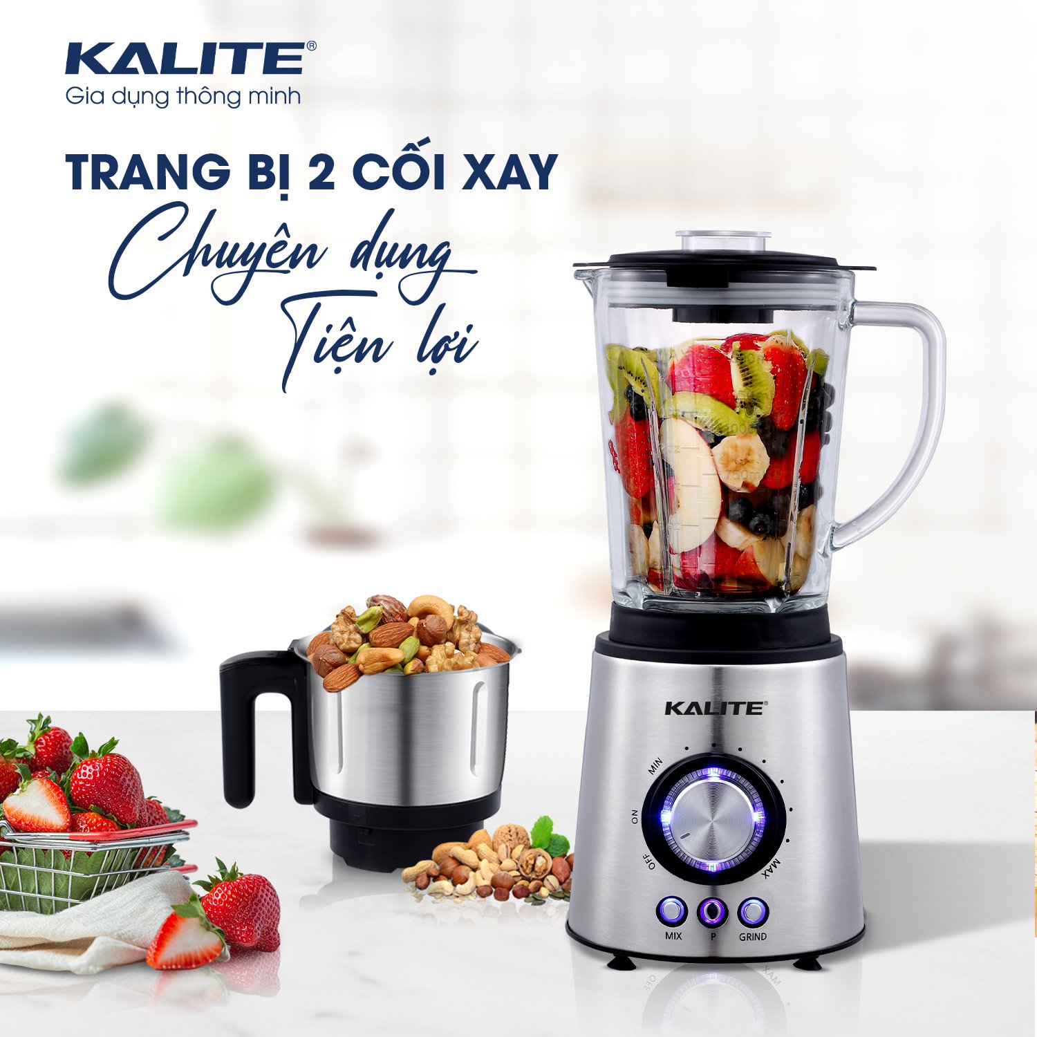 Máy xay sinh tố 2 cối 