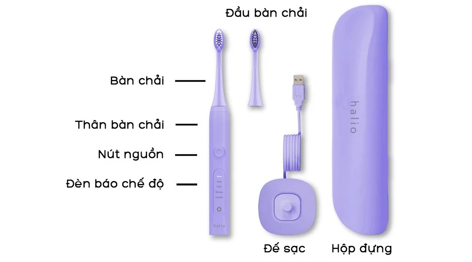 Bộ sản phẩm của bàn chải điện Halio Sonic Whitening Electric Toothbrush Periwinkle