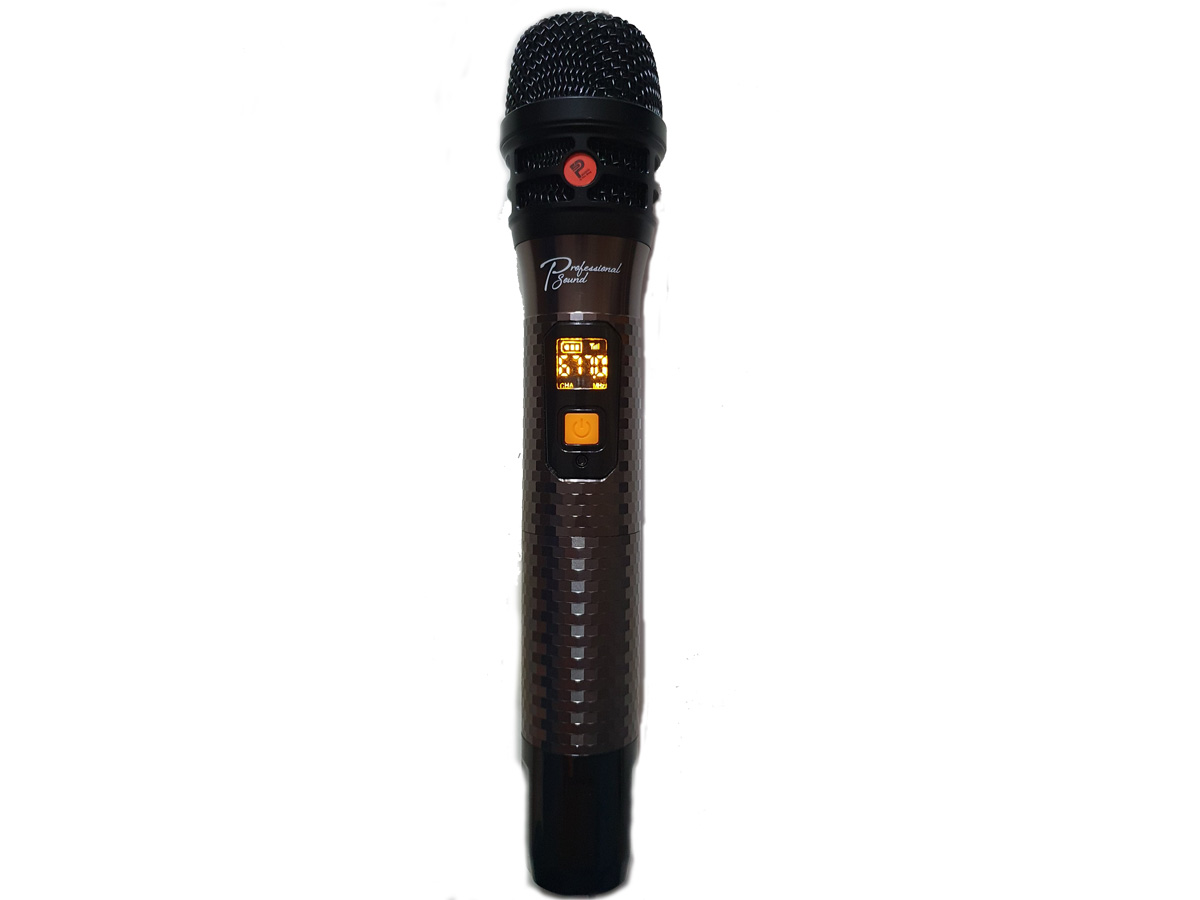 Thiết bị trang bị thêm 2 mic không dây 