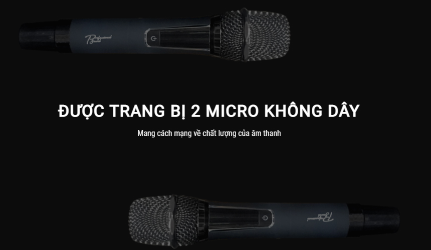 loa karaoke không dây Prosing 