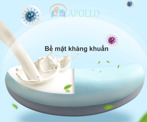 Ghế học sinh cấp 1 Apollo A69