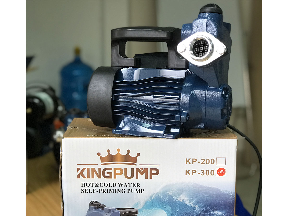 Kingpump KP-300