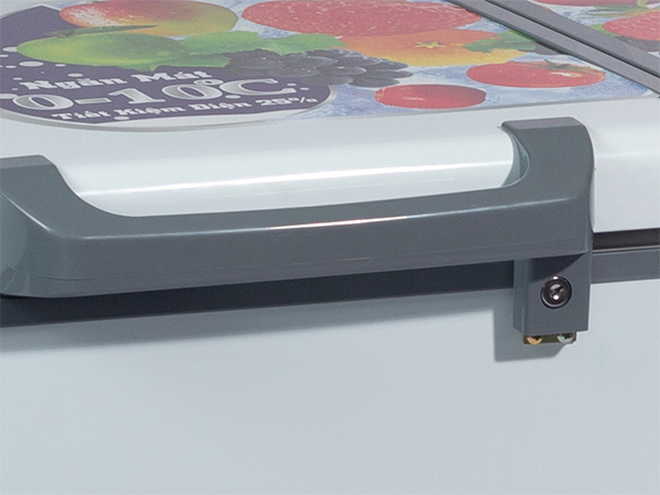 Tủ đông Darling DMF-2799AX-1 230 lít