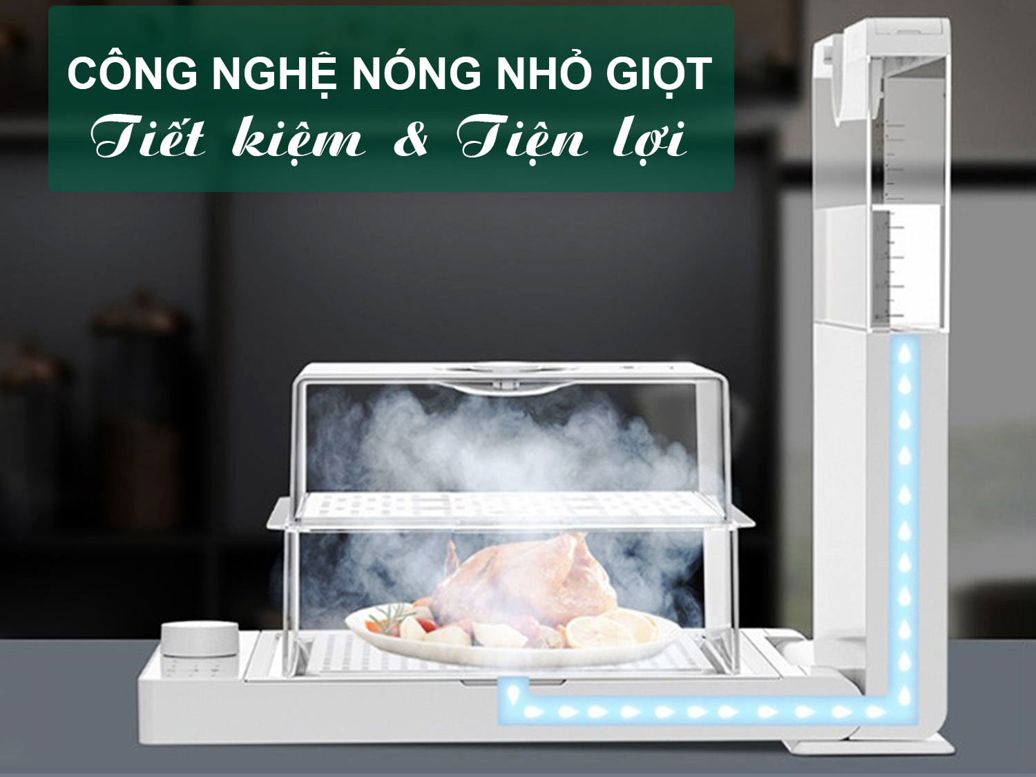 máy hấp điện Fujimaster