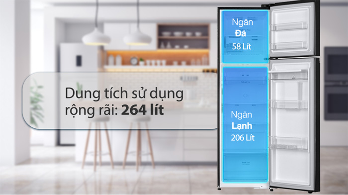 Tủ lạnh LG Inverter GV-D262BL có dung tích sử dụng là 264 lít