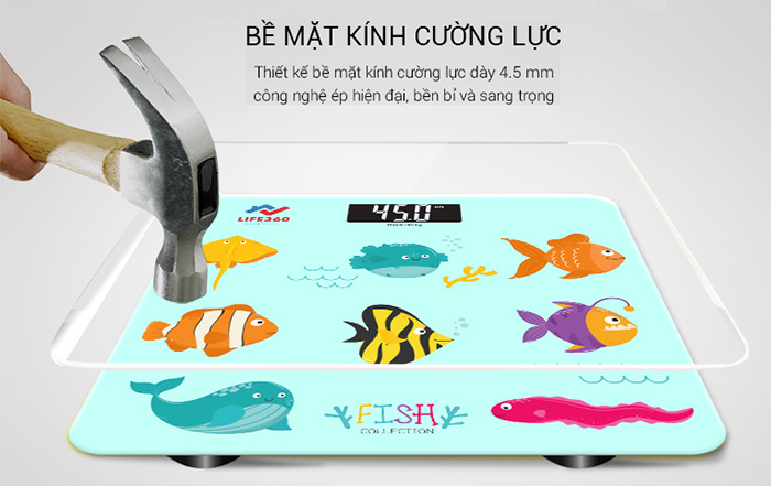 Bề mặt kính chịu lực thoải mái cân được vật nặng