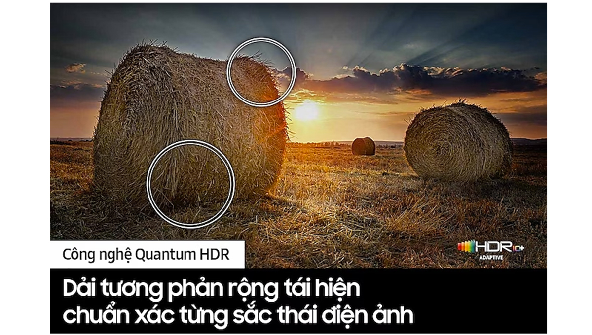 Công nghệ Quantum HDR 