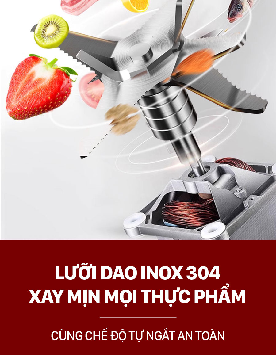 Máy làm sữa hạt Roler 