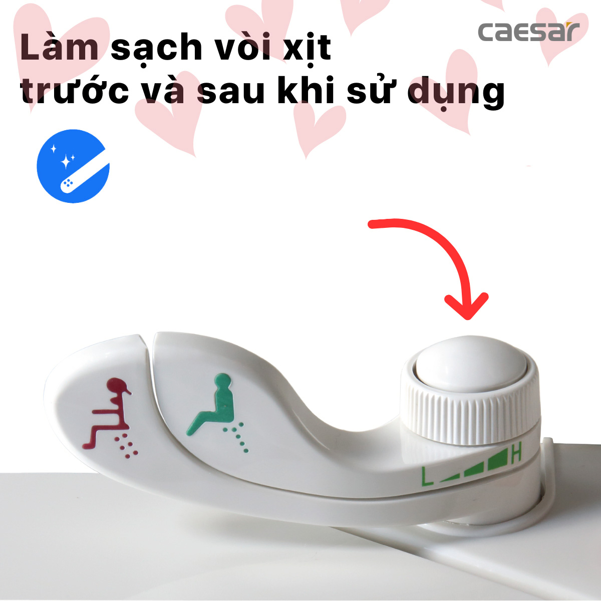 Nắp bồn cầu cơ  