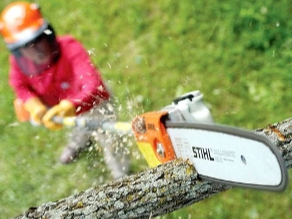 STIHL HT75