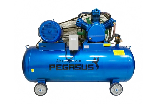 Máy nén khí Pegasus TM-W-0.9/8