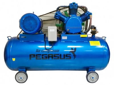 Máy nén khí Pegasus TM-W-0.67/8