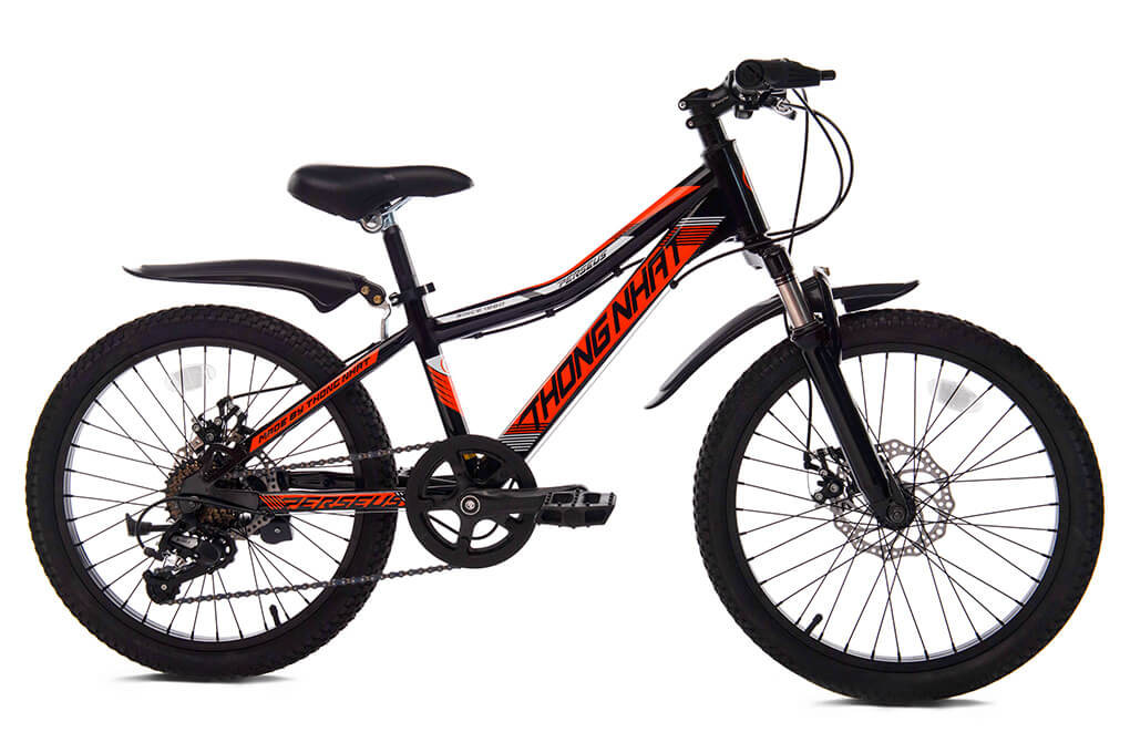 Xe đạp trẻ em MTB 20-04 20 inch