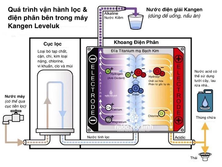 Quá trình lọc và điện phân của Kangen Leveluk K8