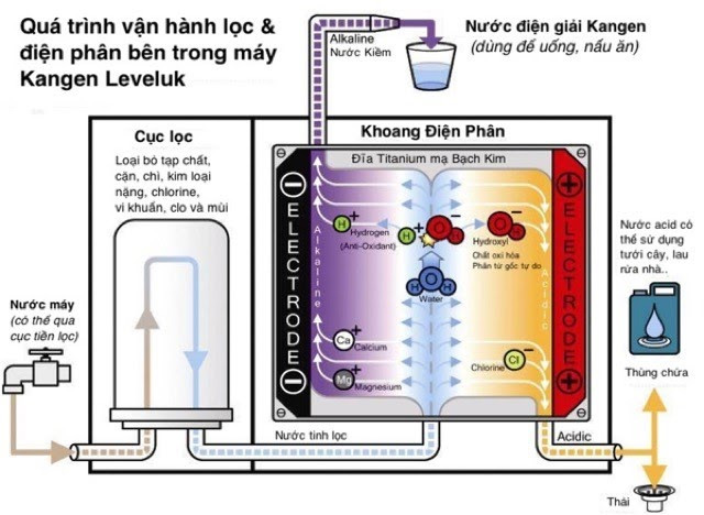 Quá trình điện phân của  Kangen Leveluk Super 501