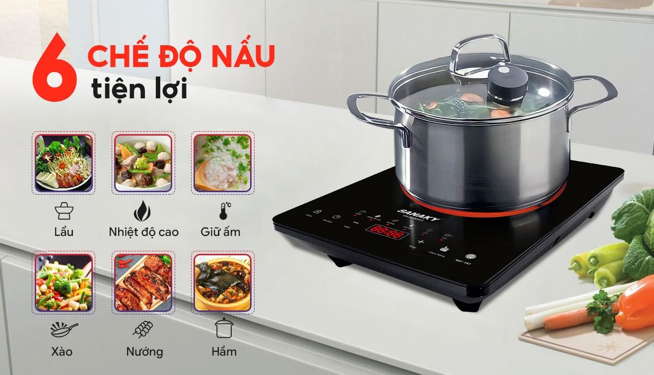 Bếp hồng ngoại đơn Sanaky VH-6100HG