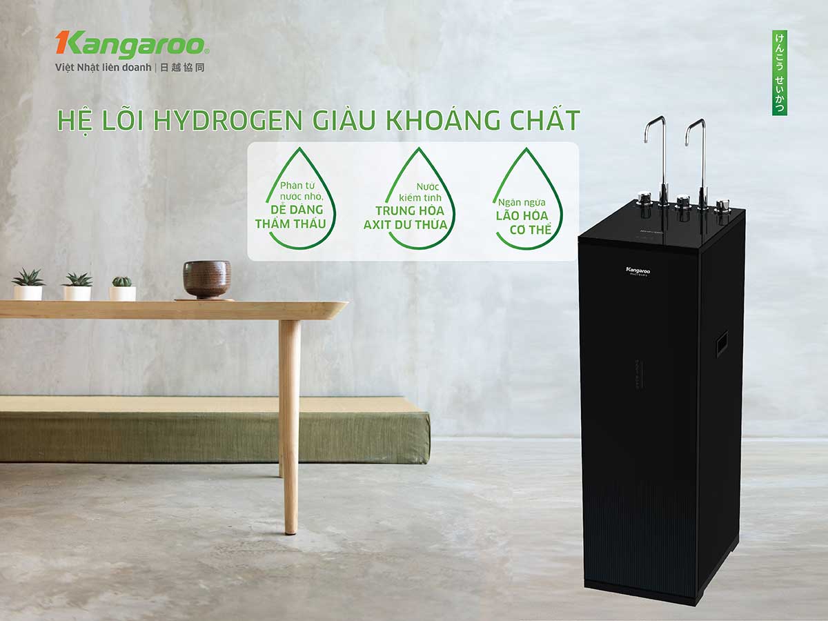 Máy lọc nước RO Hydrogen 