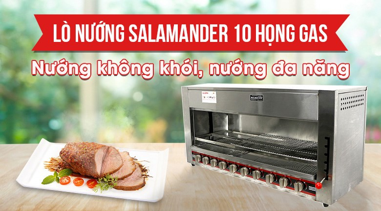 Lò nướng NewSun Salamander 10 họng gas