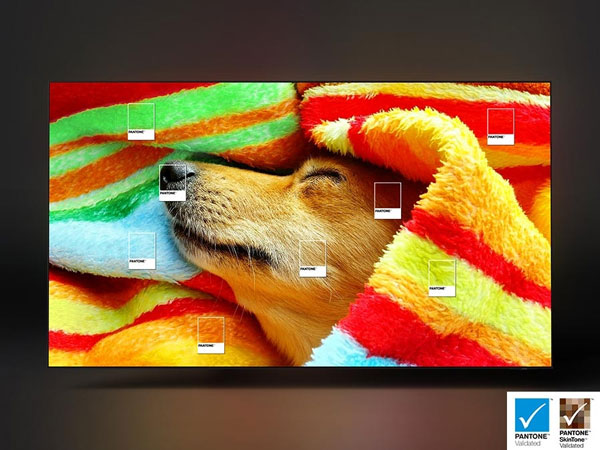 Khả năng tái tạo màu chuẩn PANTONE