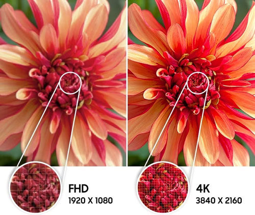 Độ phân giải 4K cho hình ảnh sắc nét 