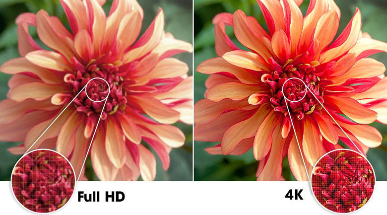 Độ phân giải 4K cho hình ảnh sắc nét