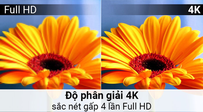 Hình ảnh rõ nét nhờ độ phân giải 4K