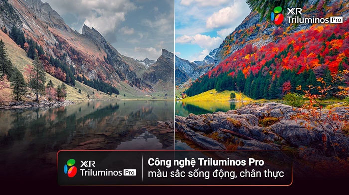 Công nghệ XR Triluminos Pro