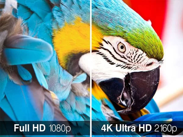 Google Tivi Sony 4K 75 inch KD-75X77L có độ phân giải 4K