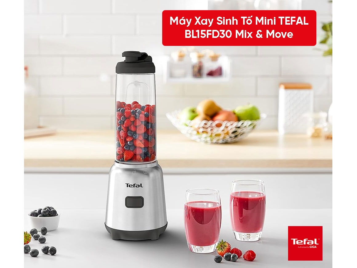 Máy xay sinh tố mini Tefal BL15FD30